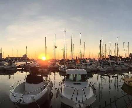 Palmeras Apartamento *