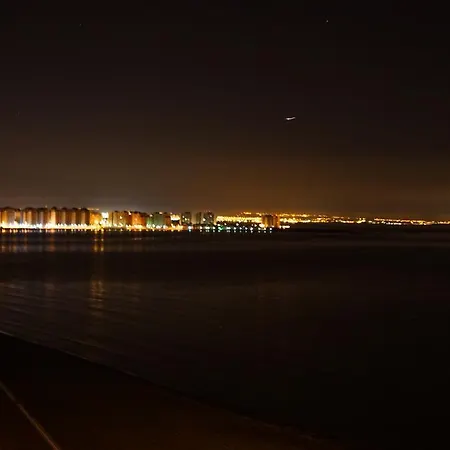 Palmeras * La Manga del Mar Menor