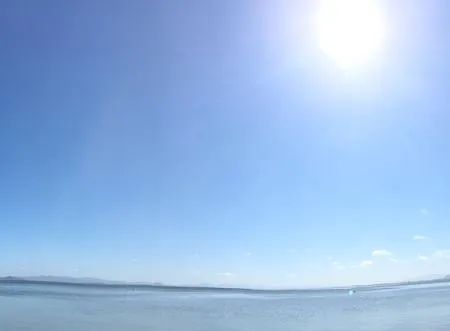 Palmeras * ラ・マンガ・デル・マール・メノール