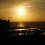 Palmeras