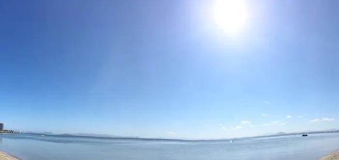 Palmeras * La Manga del Mar Menor